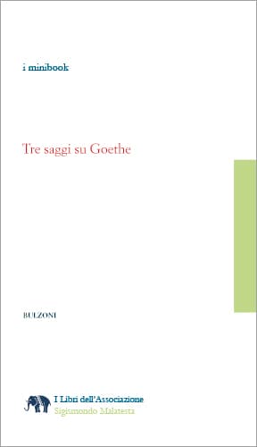 Copertina - Tre saggi su Goethe