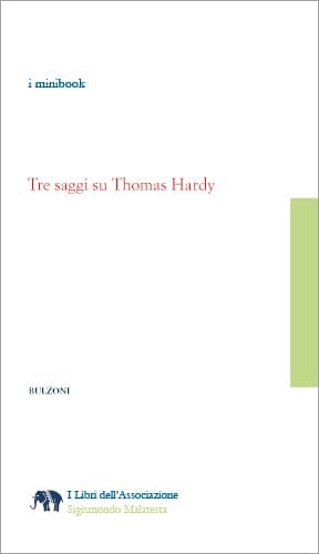 Copertina - Tre saggi su Thomas Hardy